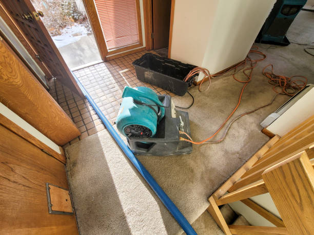 Best Commercial water damage restoration  in Batesville, IN