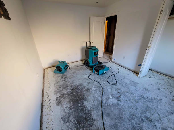 Best Water damage restoration near me  in Batesville, IN