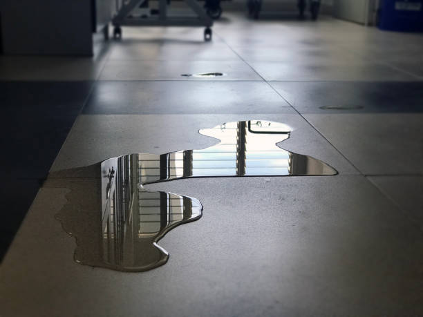 Best Professional water damage repair  in Batesville, IN