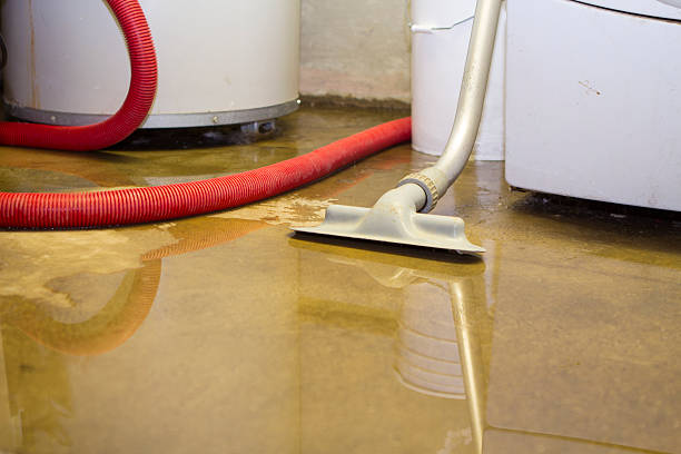 Best Water damage restoration experts  in Batesville, IN