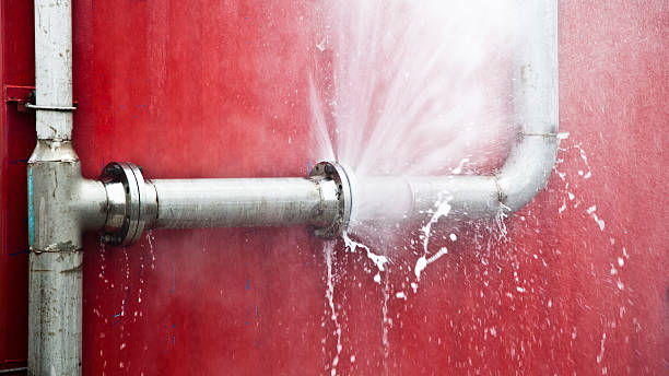 Best Local water damage restoration  in Batesville, IN