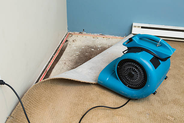 Carpet water damage restoration in IN